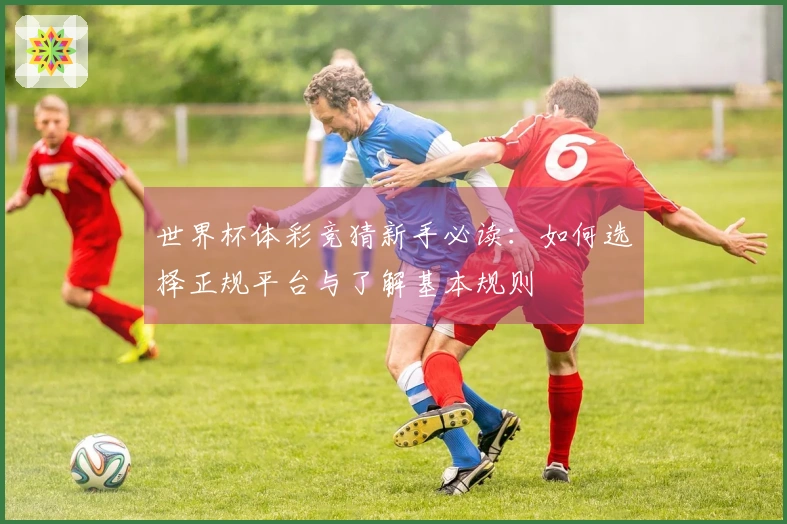 世界杯体彩竞猜新手必读：如何选择正规平台与了解基本规则