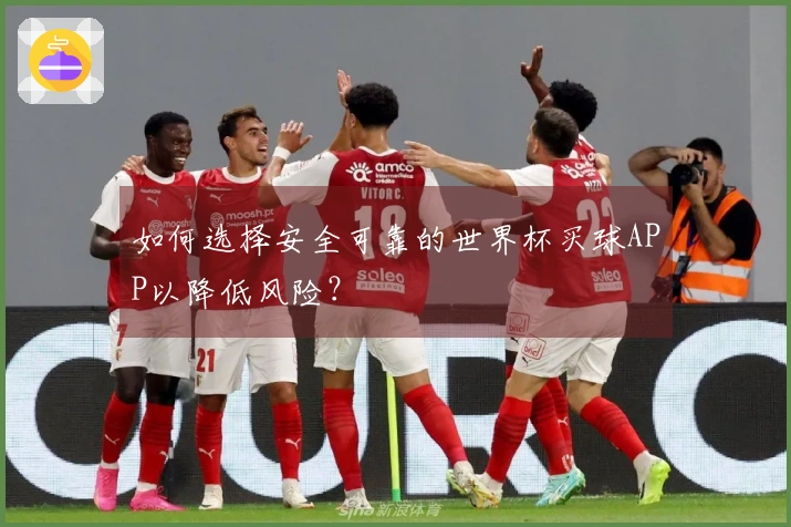 如何选择安全可靠的世界杯买球APP以降低风险？
