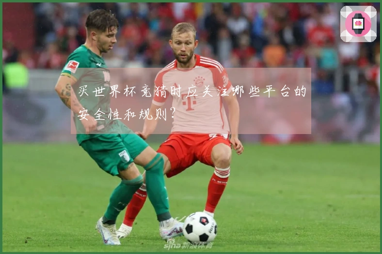 买世界杯竞猜时应关注哪些平台的安全性和规则？